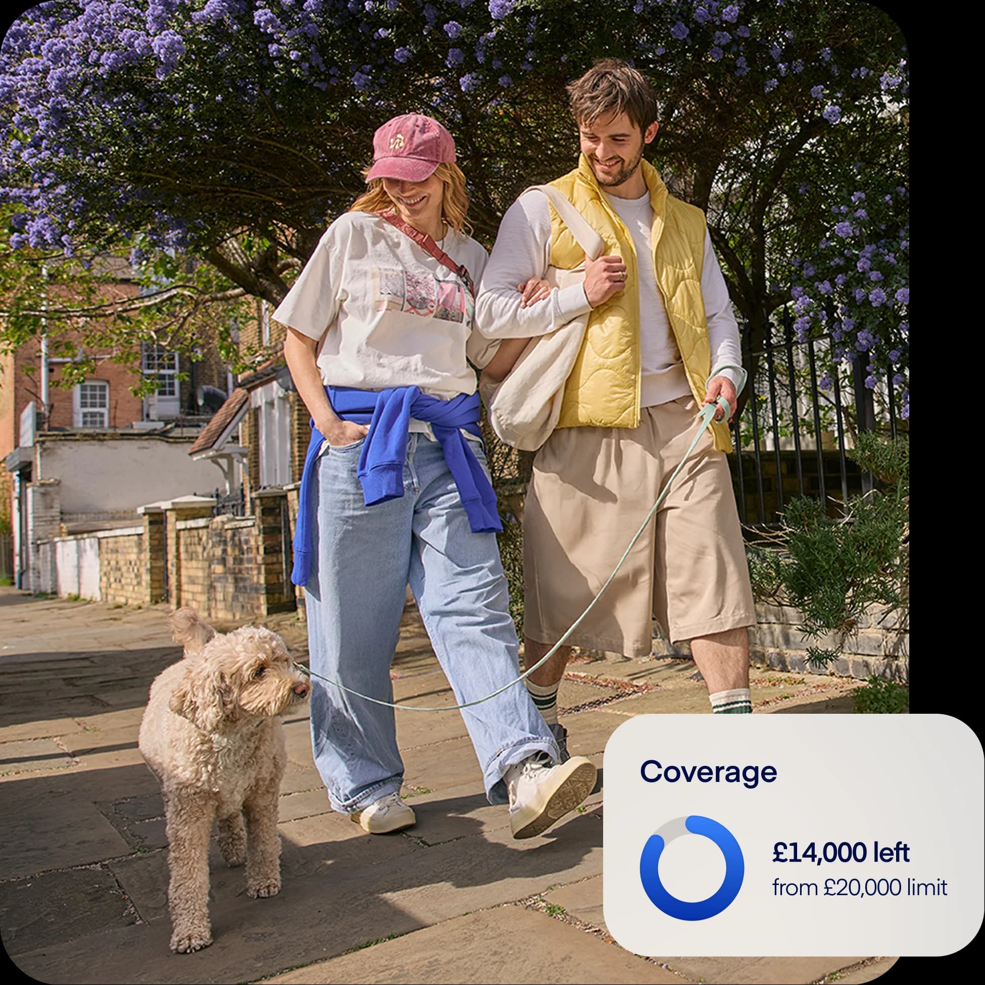 UK - NEW overlay-dog-coverage