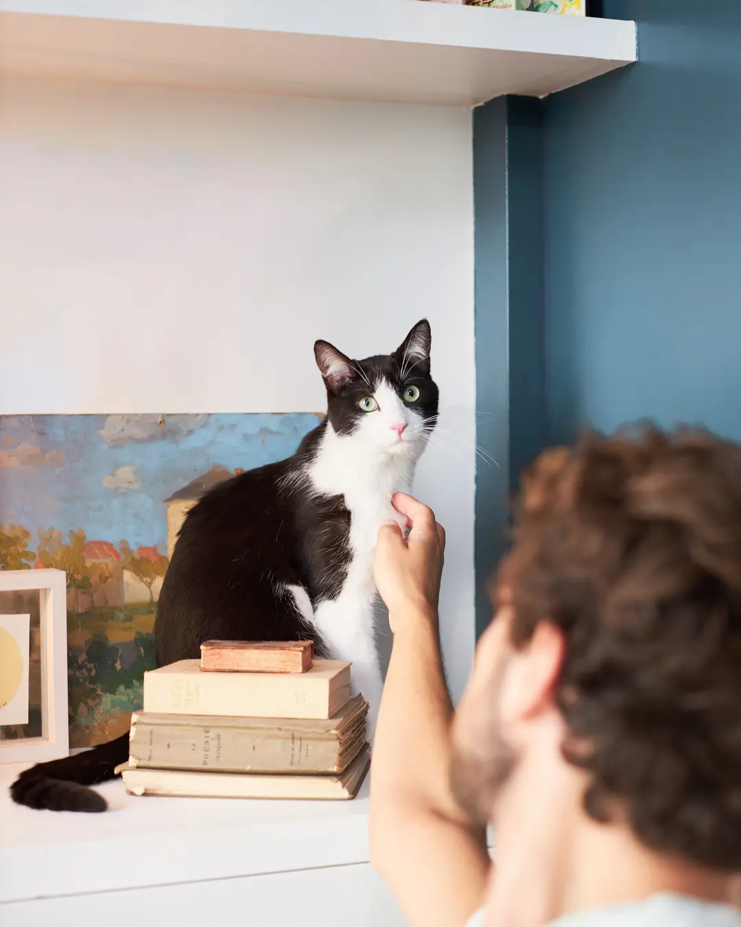 Pet insurance image - man and pet