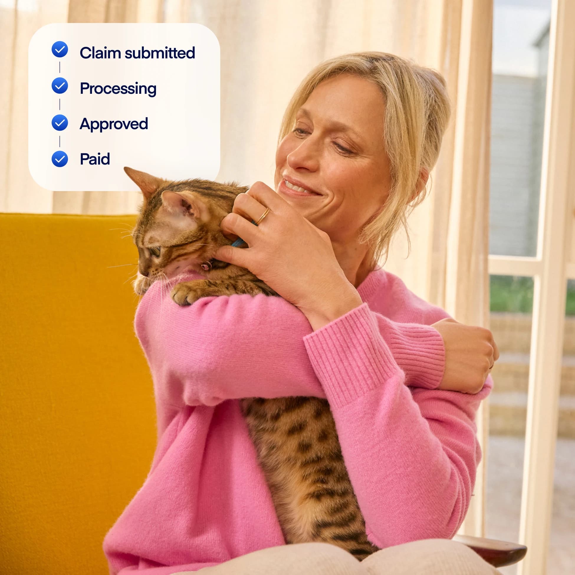 NEW claims overlay for cats