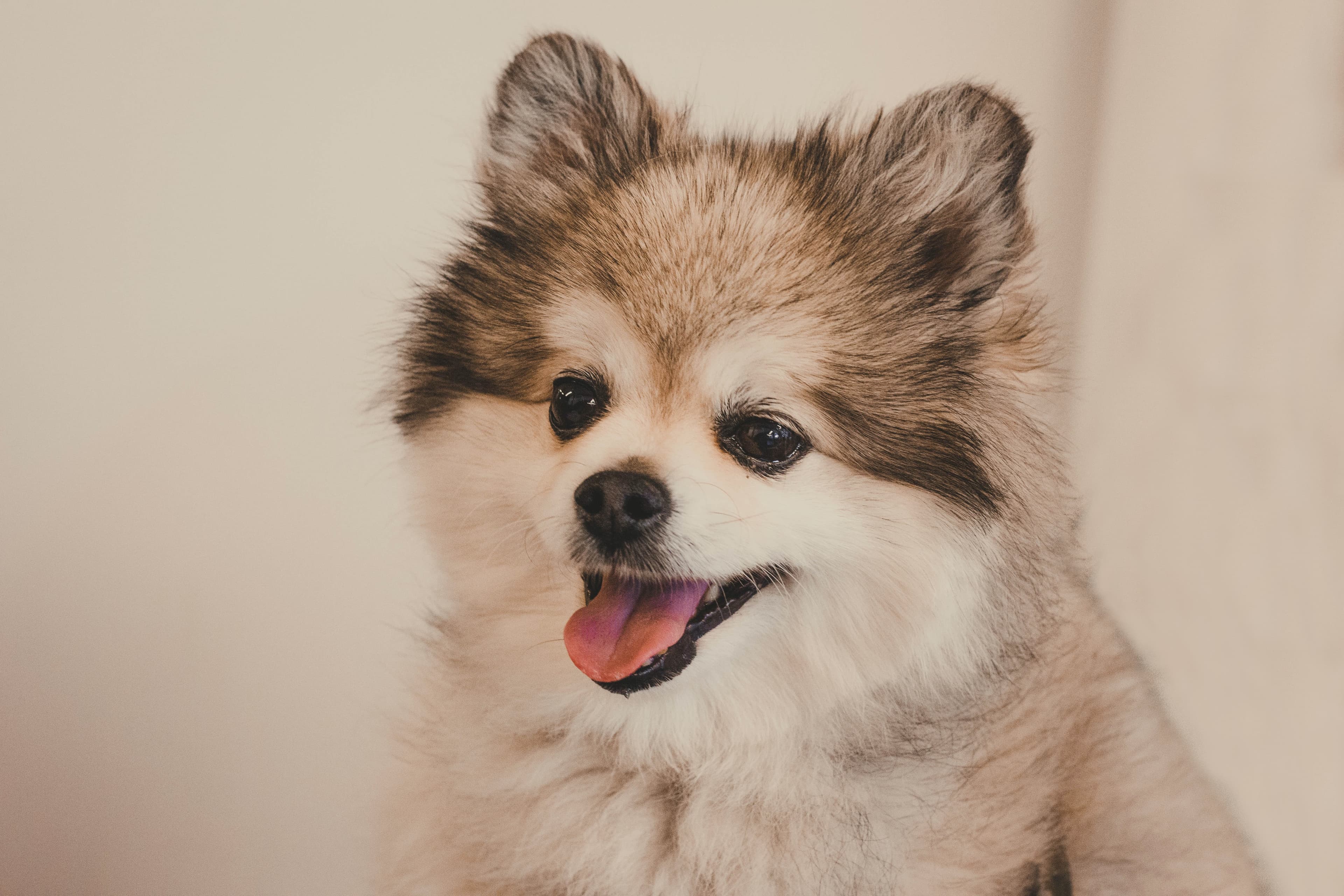 https://unsplash.com/photos/sWJiqcKdW8U