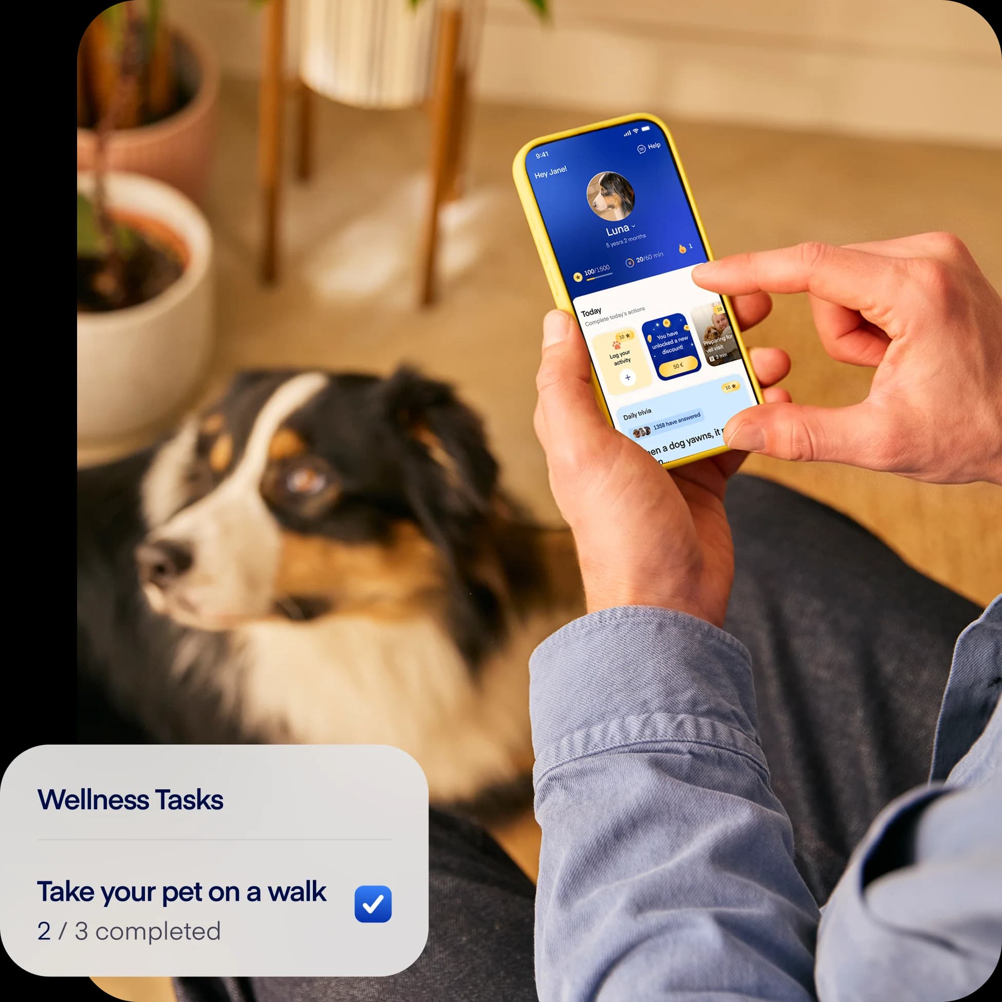 NEW-photo-tasks-overlay-dog2-englishonly