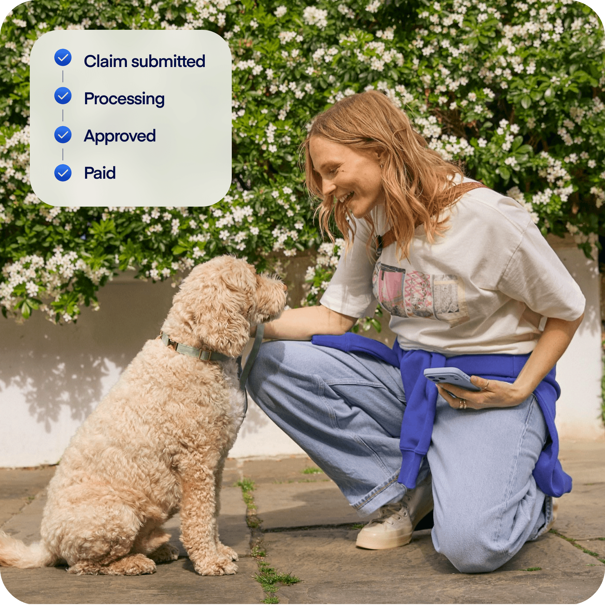 NEW photo overlay Insurance claim - dog